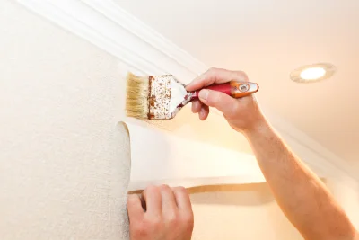 Pose de papier peint à Lichans-Sunhar — revêtements muraux et toiles de verre